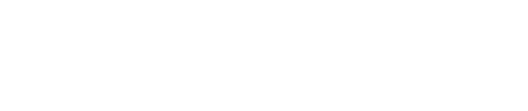 Wordmark logo of director Robin Bicknell